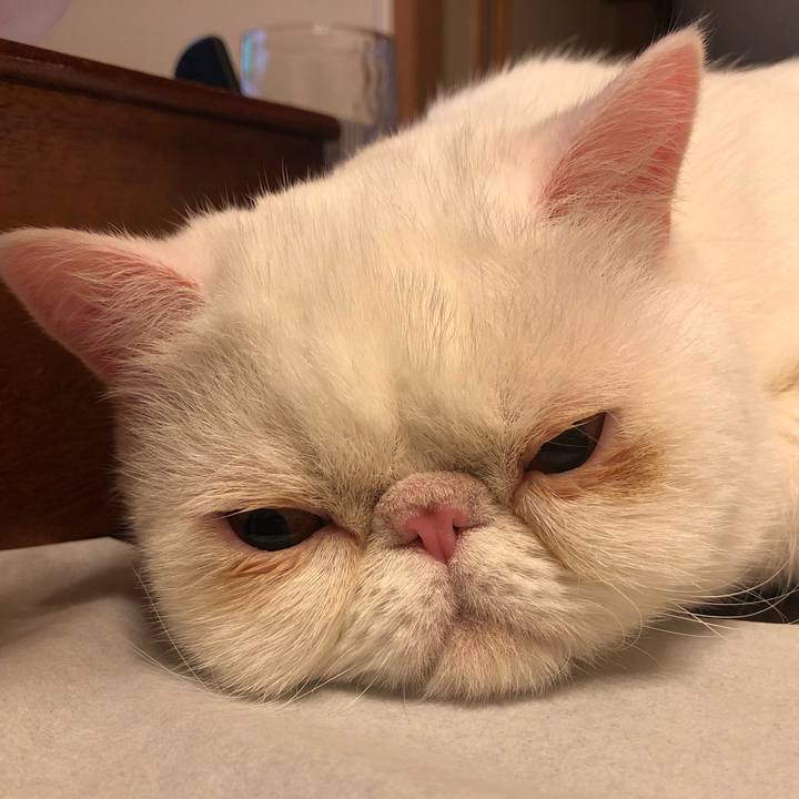 B4cbb5e5 f34d 4163 a7a3 9ca79532267b 1584875850643