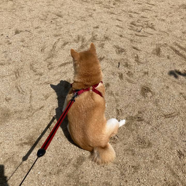 B4cbd4fd f656 4b22 8345 8e491e57ba31 1618836665136