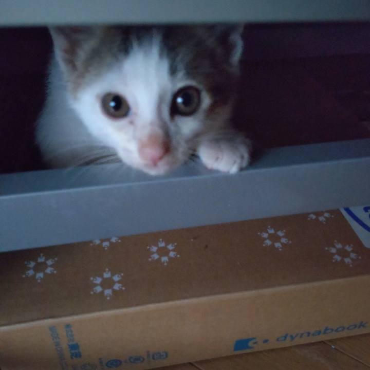 B4cbfb70 4ce6 4731 a797 ba3f8c5f8d13 1632609349561