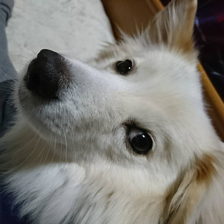 B4cc0c00 8edd 44a4 9aeb 13ab3485adbf 1514585253024