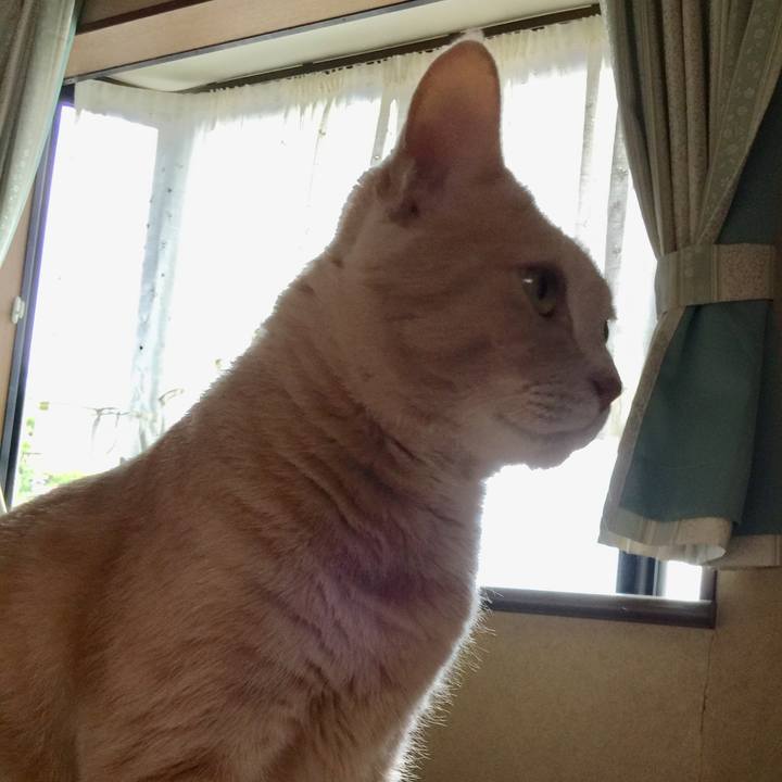 B4cc335b f139 4fb5 9d3f 603c80dbb88e 1600257411290