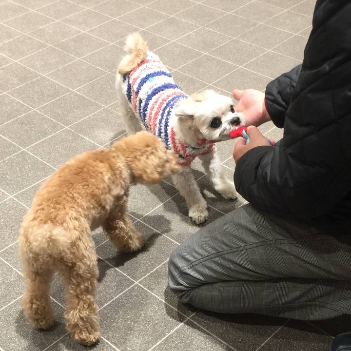 B4cc5d63 842d 4b05 8fc6 23664c7e9307 1514638499675