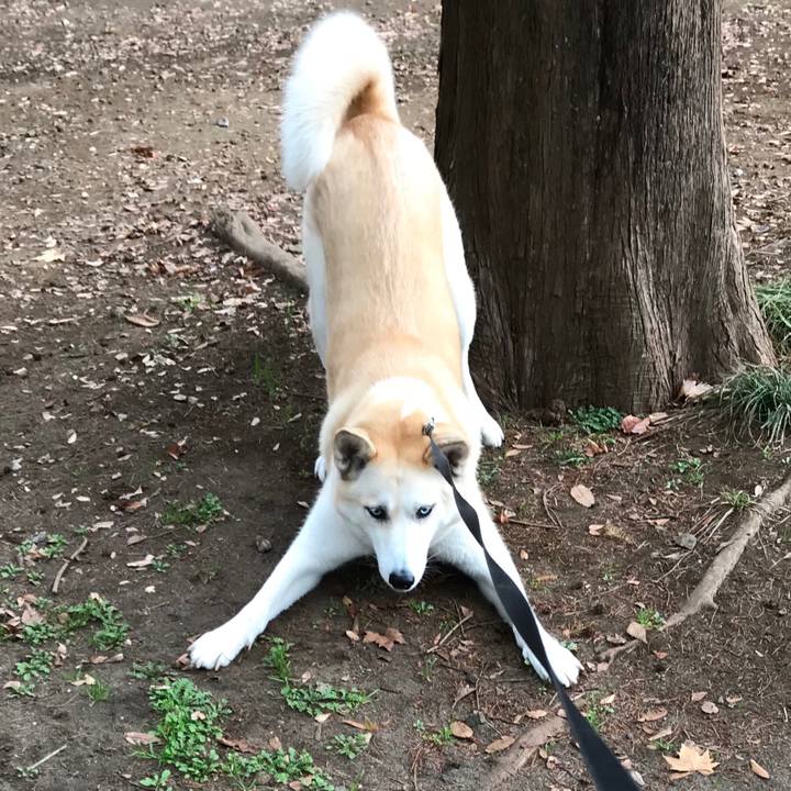 B4cc7354 b3b0 4c29 a77d 39f07ffb98ba 1542848429021