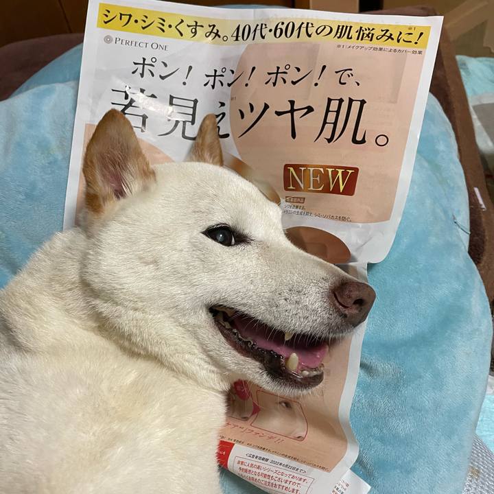 B4cc91ac 864f 4b7e b265 ef509b960efb 1655992443634