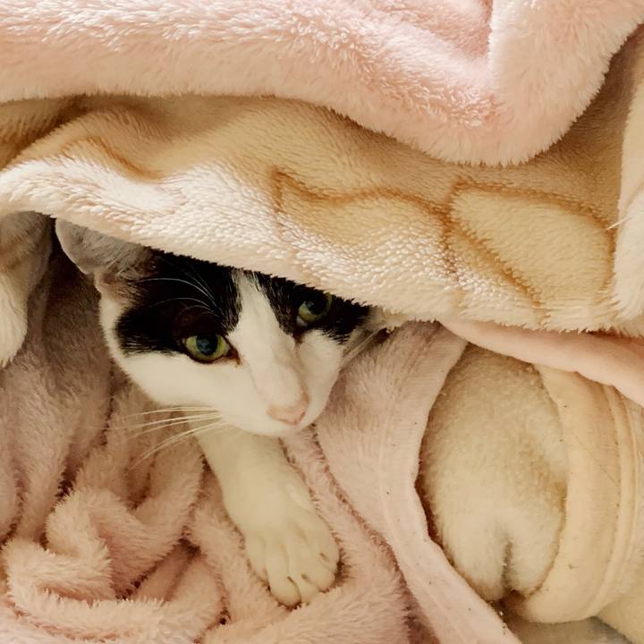 B4ccaa0d eae2 4dca bff5 451d6a98bcf6 1544355211191