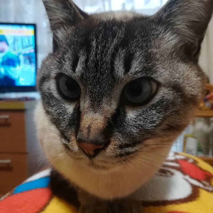 B4cccb78 ff42 4a0c a346 62d1c30b45ad 1522275674324