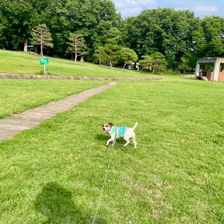 B4cce941 fc44 42c7 a7f8 970a9f26b51f 1750320720344