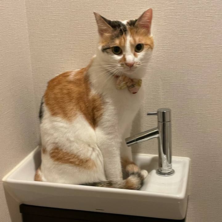 B4ccf539 f149 472d 97f5 ef71a4c76545 1633566824224