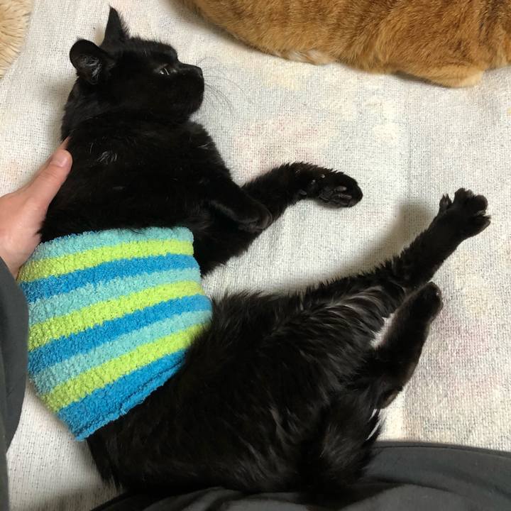 B4cd02bc 3b58 46db 81af 0826b65f11e8 1607519277973