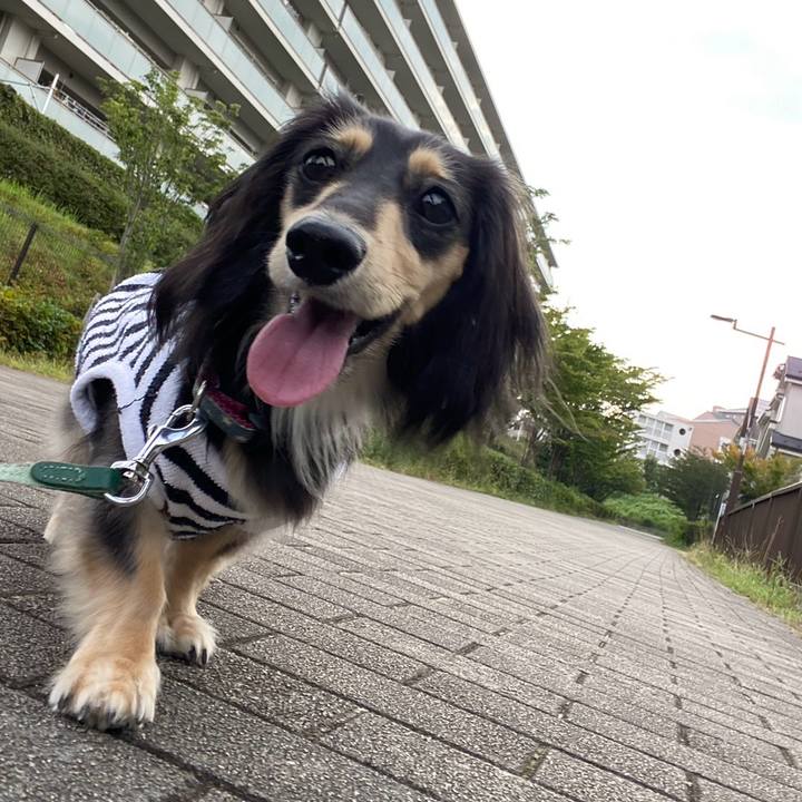 B4cd1cef 20d8 4fee a3ca 378e40bcb1a9 1754436741476