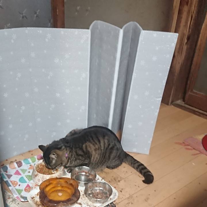 B4cd5045 22ff 4ad0 8070 7fa18e9ec025 1649980508496