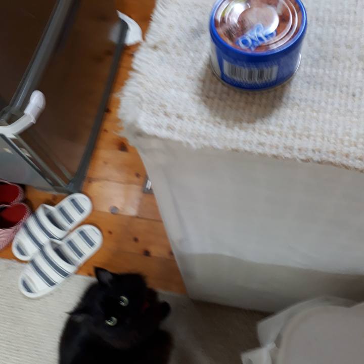 B4cd7869 f332 4092 a43f b3591fc9cb4e 1518381609975