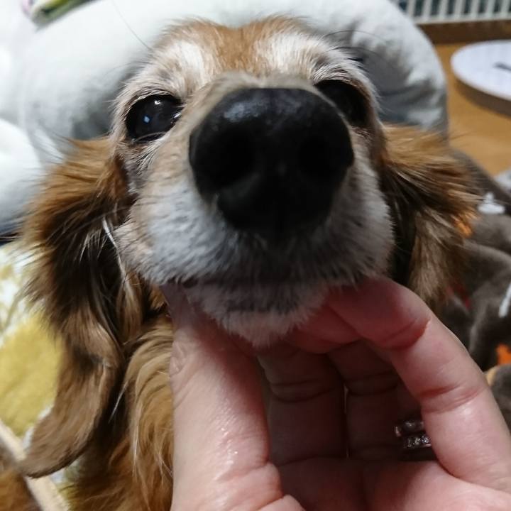 B4cd8e37 c195 47e3 96df a3255a9dda81 1516832074584