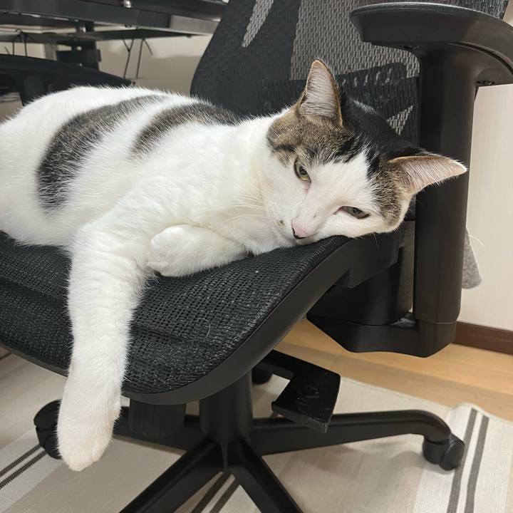 B4cdc2fa efe0 4b3e ba90 ccc6e4a5077f 1708473732560