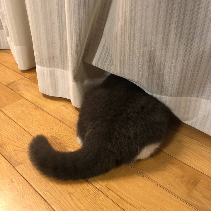 B4cdd451 0fff 45c3 ac52 40f6058202c2 1559828751327