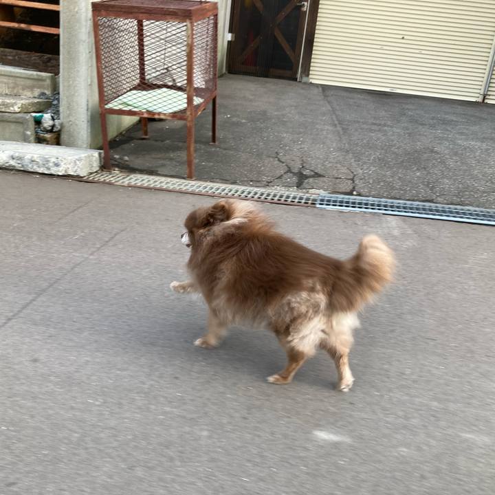 B4cdee3d 9544 4244 8fa6 1eb0cd182cb1 1688688318336