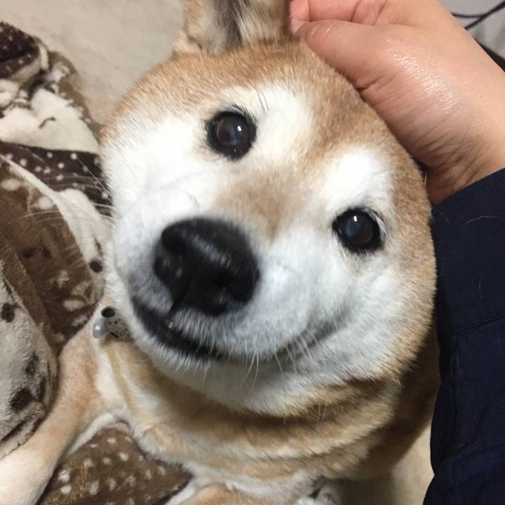 B4ce0e49 8734 49eb a2fa 803361bec7d7 1520948643523