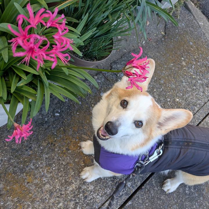 B4ce1d2c 2a04 4561 b9de aa2b41f08574 1764894341088