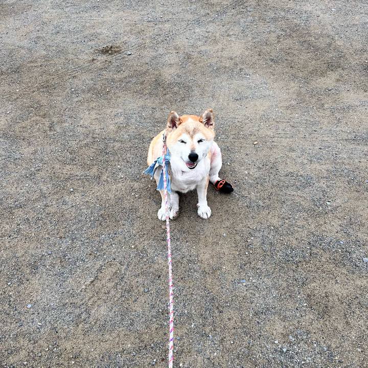 B4ce2ae0 3196 4550 bacc 4112929e0830 1754006294604