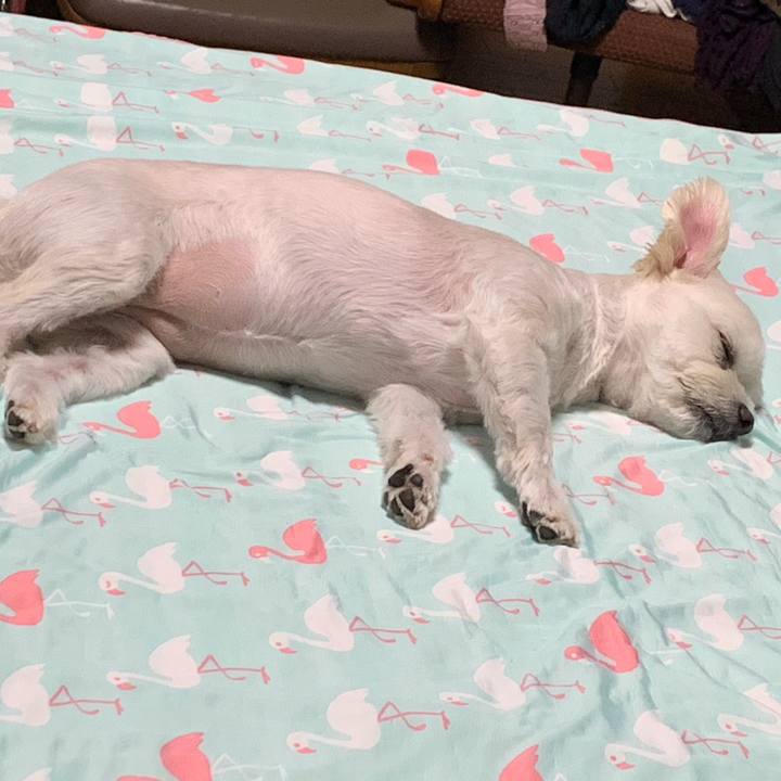 B4ce39d9 6890 4d02 bd76 c033aa4d0dd8 1570110212143