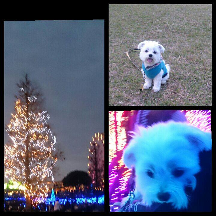 B4ce3d45 c8c3 4351 a4da d63cd1c96f0e 1509717776061