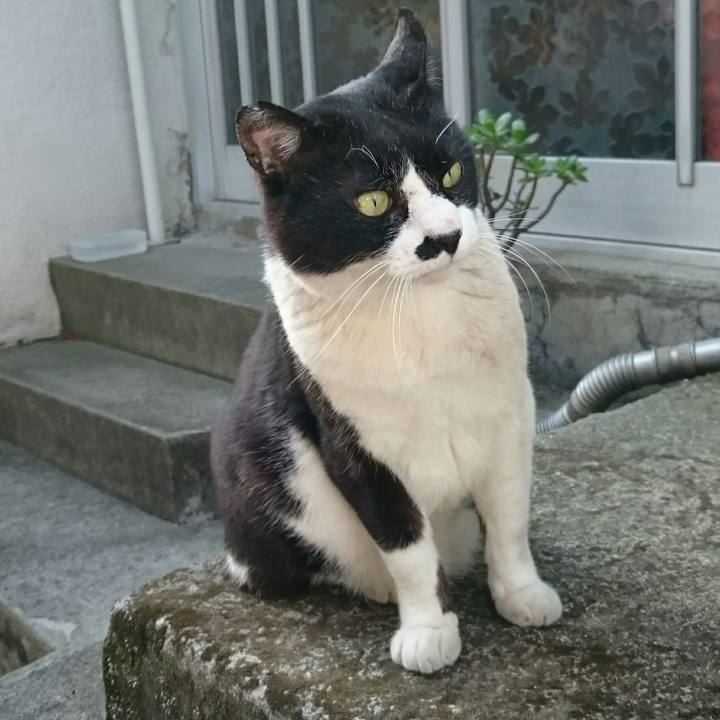 B4cf0a63 ac2a 4a34 9f54 14e61361302e 1523230374350