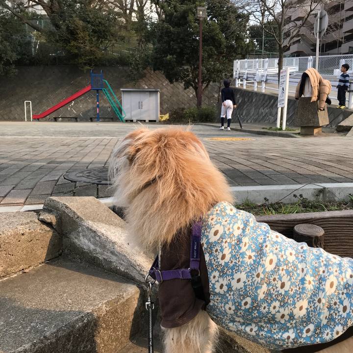 B4cf0e30 7780 48c1 80b8 b7411c59c049 1552721074043