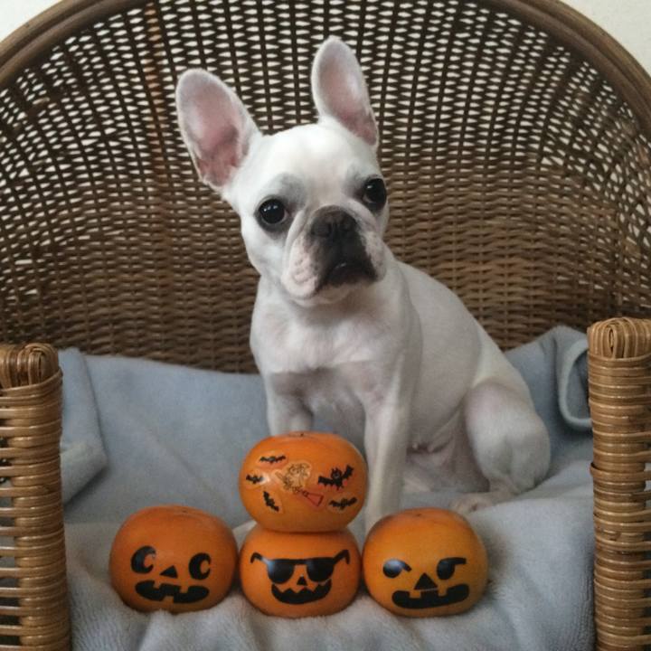 B4cf1ca7 9c31 4eb3 bce7 7cbb655e7ca4 1509364827853