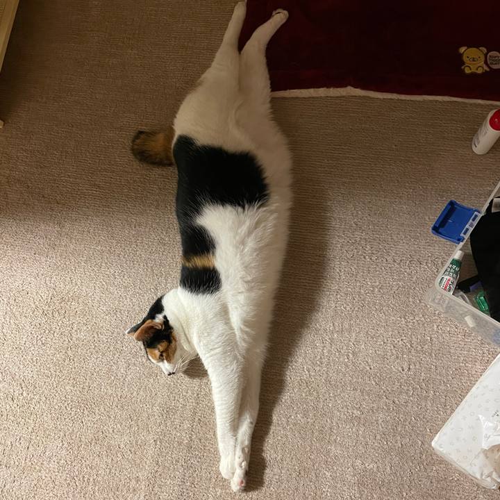 B4cf5a57 2f6a 49b2 9c43 a5f0f7789e38 1623278106868