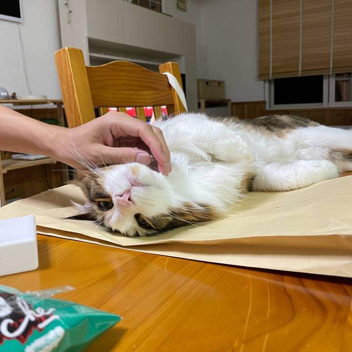 B4cf6dfd 0042 472e 86b7 27cacb41f584 1662974840445