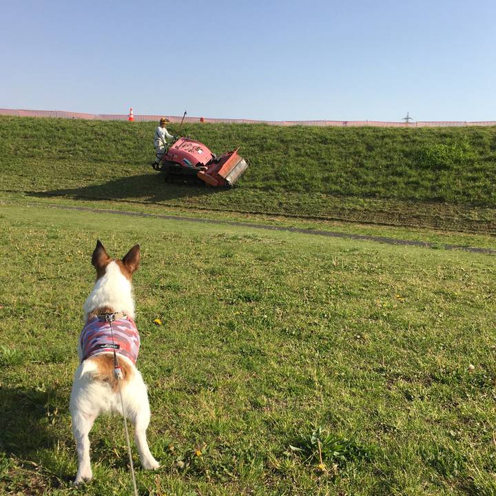 B4cf714f 2d45 4edc bc5c 4ae1dd7910a6 1619047360818