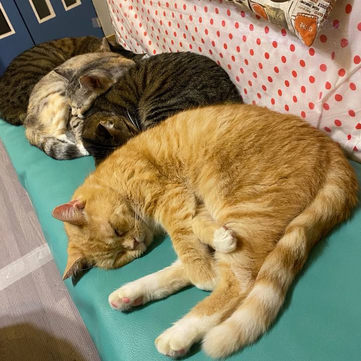 B4cfadc1 00a5 4239 8e2c a78ce88558ff 1636906785916