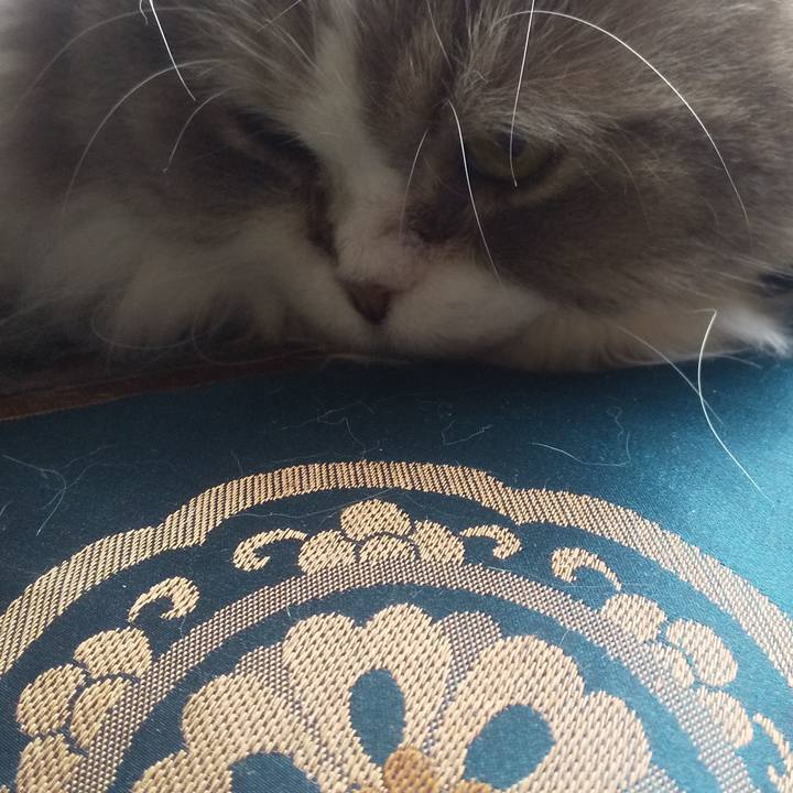 B4cfc5f5 c43d 47ec 9966 d59065389241 1706076288633