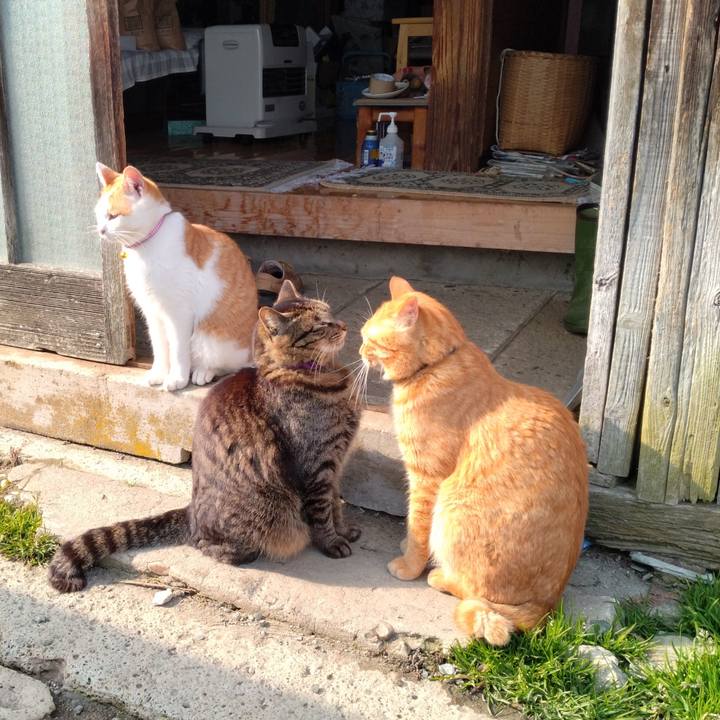 B4cfeb59 9149 44cf b2e1 545f3ca7e0b3 1742882856665