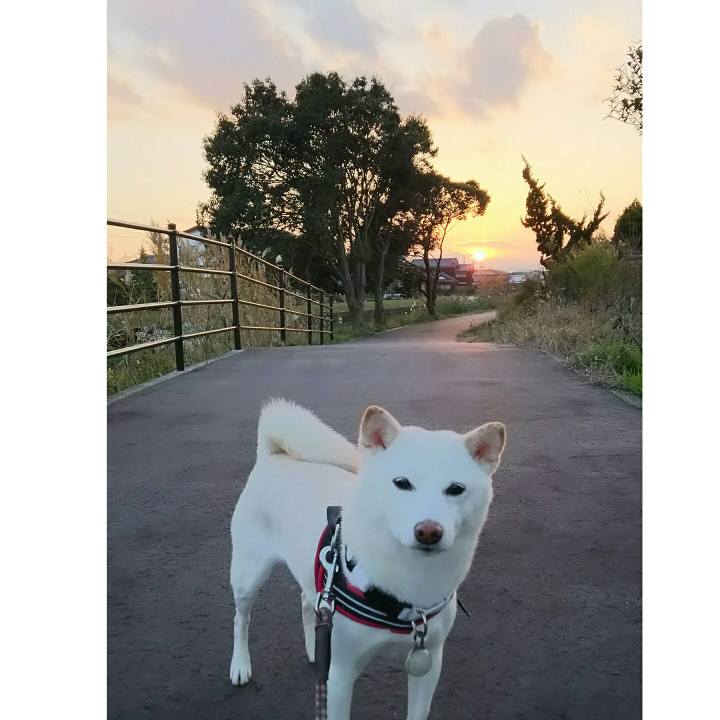 B4d005b3 6417 4332 ae96 3085dc3d76b0 1543313176622