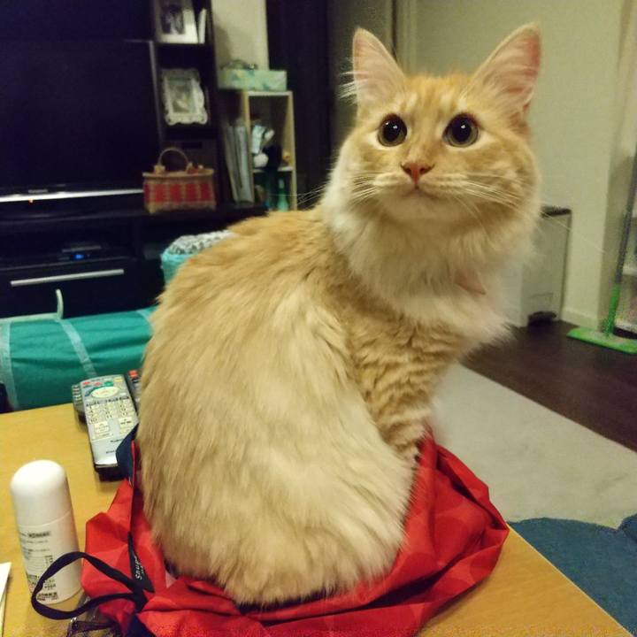 B4d00620 31c8 4150 9d8f 0ead67610408 1627561353223