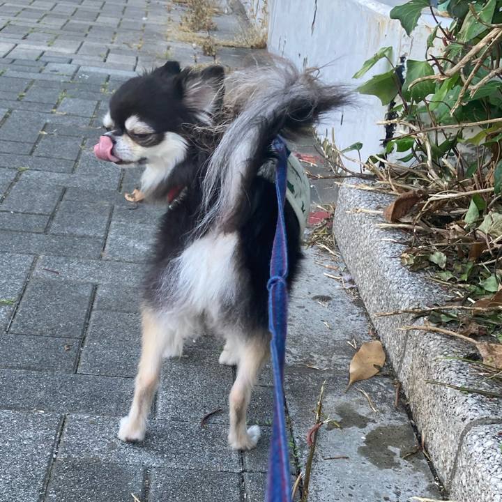 B4d026ab a97c 41aa aa99 ae55a16fe0df 1716047305550