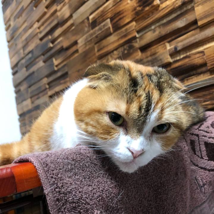 B4d02efb 0425 44a3 bc00 c081454b7b6c 1635516805295