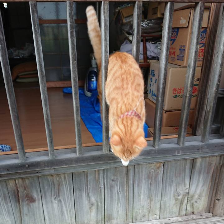 B4d08339 10be 405b ac71 0217fe679136 1566721303843