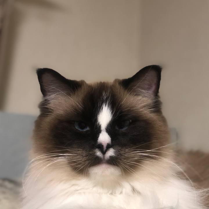 B4d0b661 679c 4afd 9447 a6f57648e6fa 1549179747795