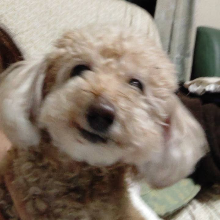 B4d0e427 eb1c 4074 891d 08a45189237f 1645876292104