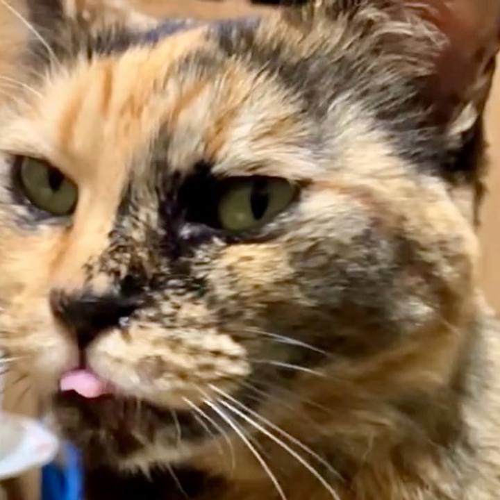 B4d0f2b9 0889 4c47 bec6 63efec46dd24 1732564975922