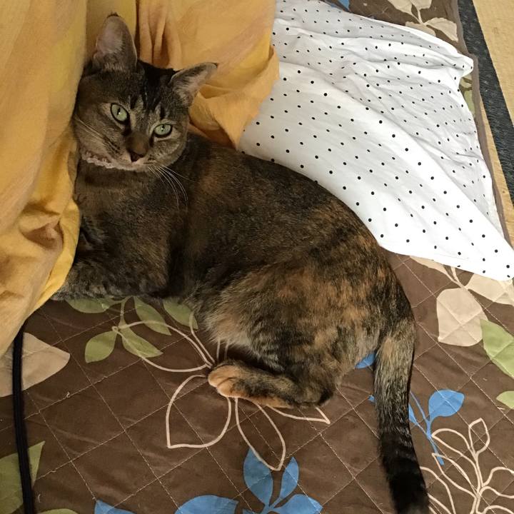 B4d0f9ed 52ea 480e aee2 da24958e4165 1652236132123