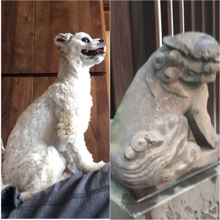 B4d104e3 a51d 454f 8f32 75b781fe7214 1534157379861