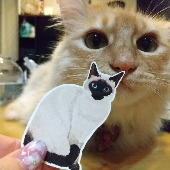 B4d14b6d 1386 4394 a21a 93524e9a1d47 1647697446799