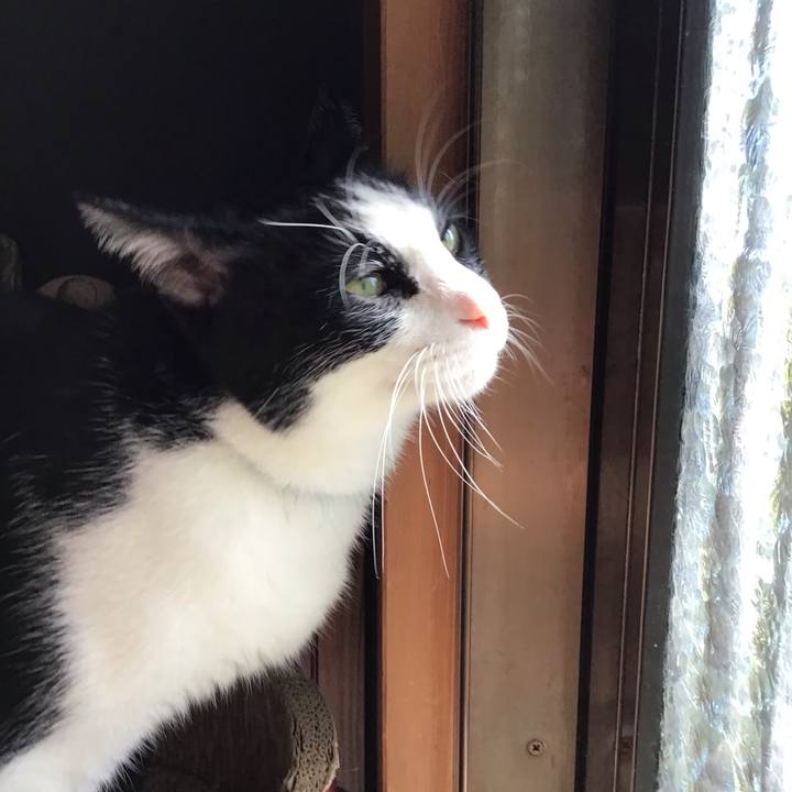 B4d14e92 ce67 44ed bdee 800418ce08e2 1760688556993