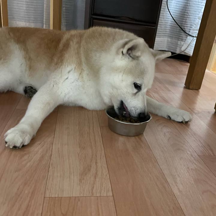 B4d14ec8 6a0f 4834 914f 03912f899560 1694350193096