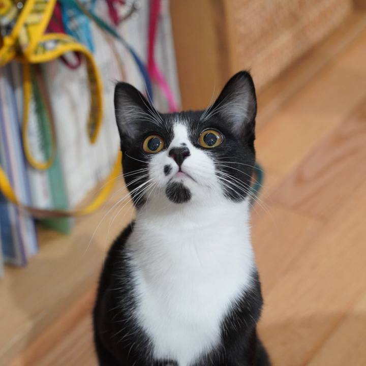 B4d16f7b 46bf 4c02 aee6 161f516fbf7f 1579650666678