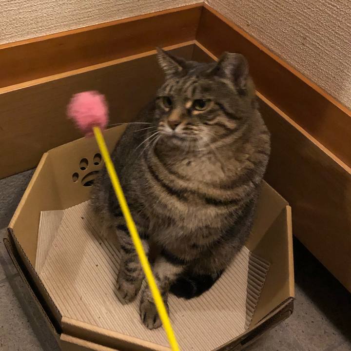 B4d1920a 0221 4c82 8338 51d2260d3066 1573983629212