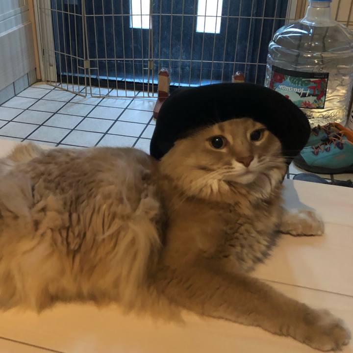 B4d19377 d822 4e05 b9bb ccf788fbea66 1597134553135